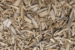 biomass boilers Tickmorend